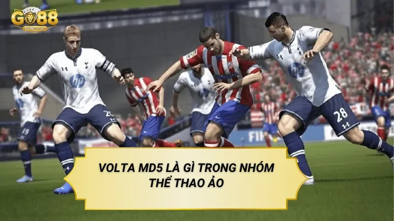 Volta MD5 – Hình Thức Thể Thao Ảo Dựa Trên Mô Phỏng Volta MD5 Là Gì Trong Nhóm Thể Thao Ảo